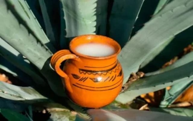 Pulque: